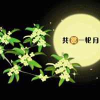 奧邦|遙望月將圓，顧家正當(dāng)時